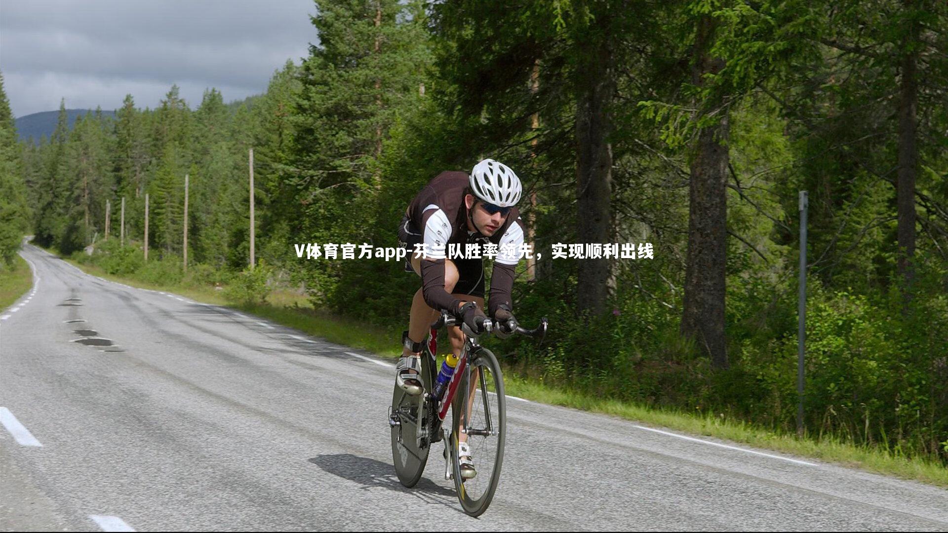 V体育官方app-芬兰队胜率领先，实现顺利出线